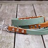 Handgemaakte Summit halsband en honden riem, luxe vetleer met Biothane