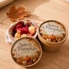Spice Pumpkin Waxmelts
