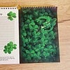 Verjaardags Kalender draken A4