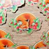 3x stickers voor 8,-