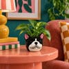 Bloempotje bulldog zwart-wit