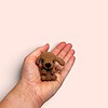 Gehaakt mini-hondje – handgemaakt klein knuffeltje van katoen