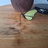 Glas in lood vlinder - geel