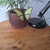 Glas in lood vlinder - geel