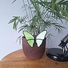 Glas in lood vlinder - groen