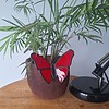 Glas in lood vlinder - rood
