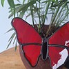 Glas in lood vlinder - rood