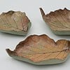 herfstblaadjes