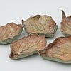 herfstblaadjes