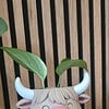 Highland Cow Bloempot