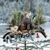 Kerst in een Schelp – Handgemaakte Kerststal met Verlichting