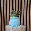 Planti Potti – vrolijk 3D-geprint bloempotje met gezichtje