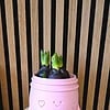 Planti Potti – vrolijk 3D-geprint bloempotje met gezichtje