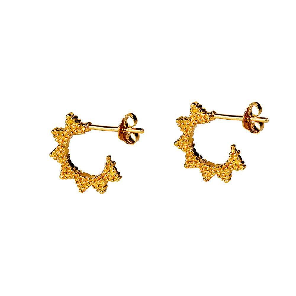 Small Gold Plated Indian Star Hoop - 1854.jpeg Small Gold Plated Indian Star Hoop