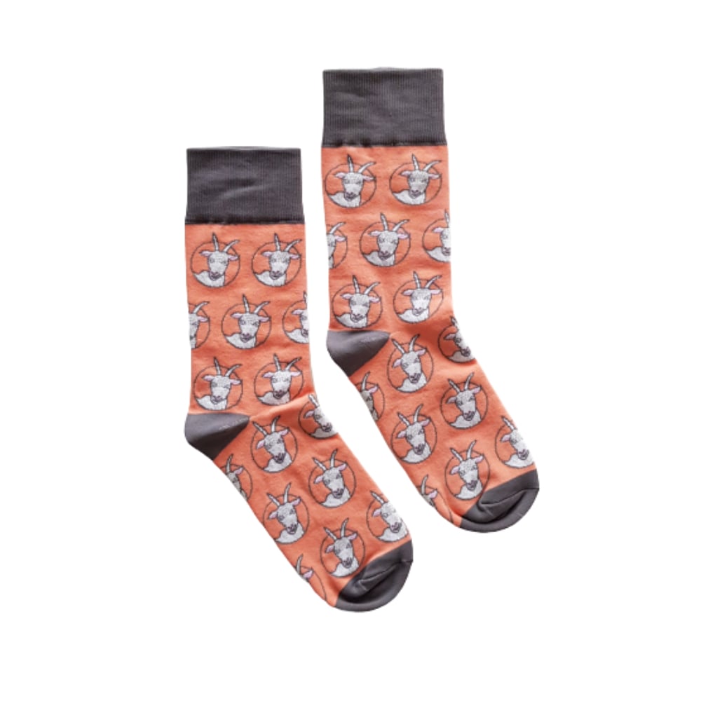 Sokken Gerrit de Geit - 4022.jpeg Sokken Gerrit de Geit