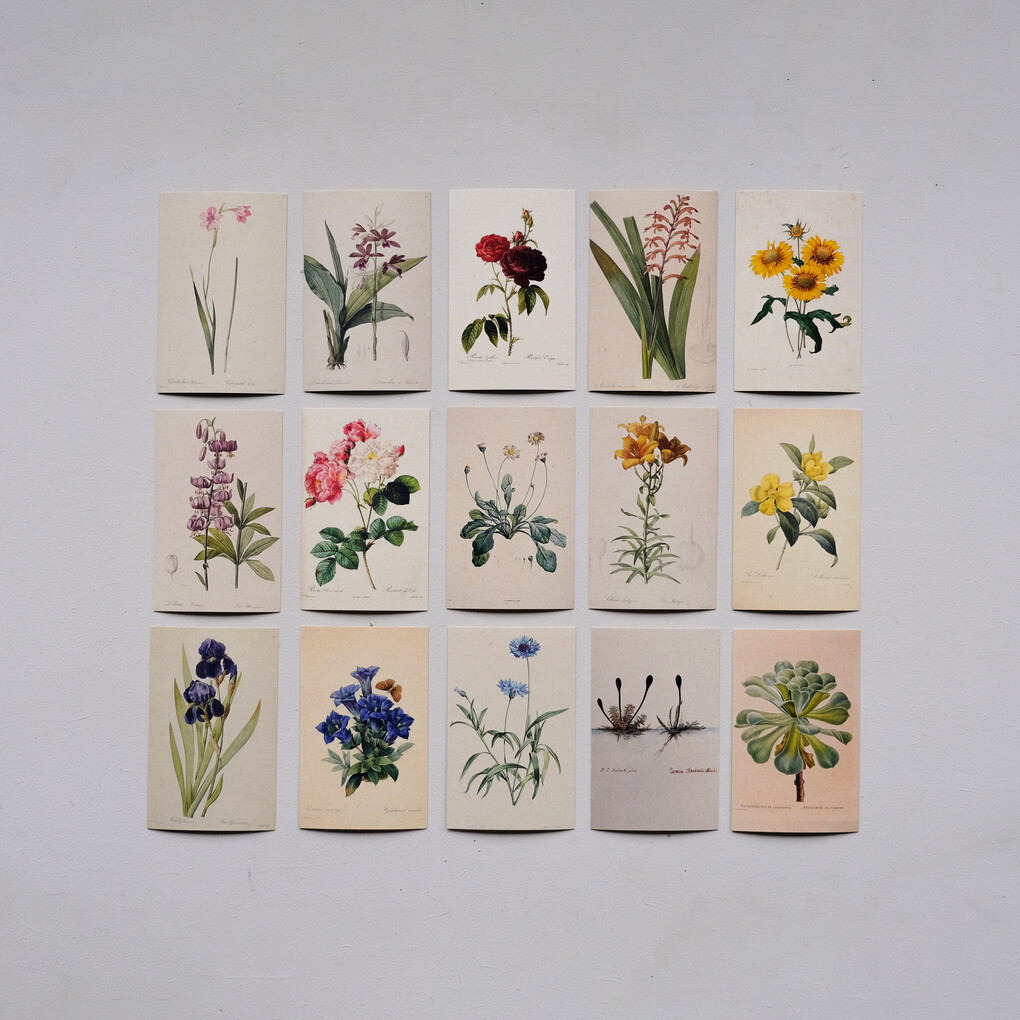 bosc3761-31323966-3962-6439-6333-653534393162-v3.jpeg Oranje Antholyza DIY Weefpakket Klein