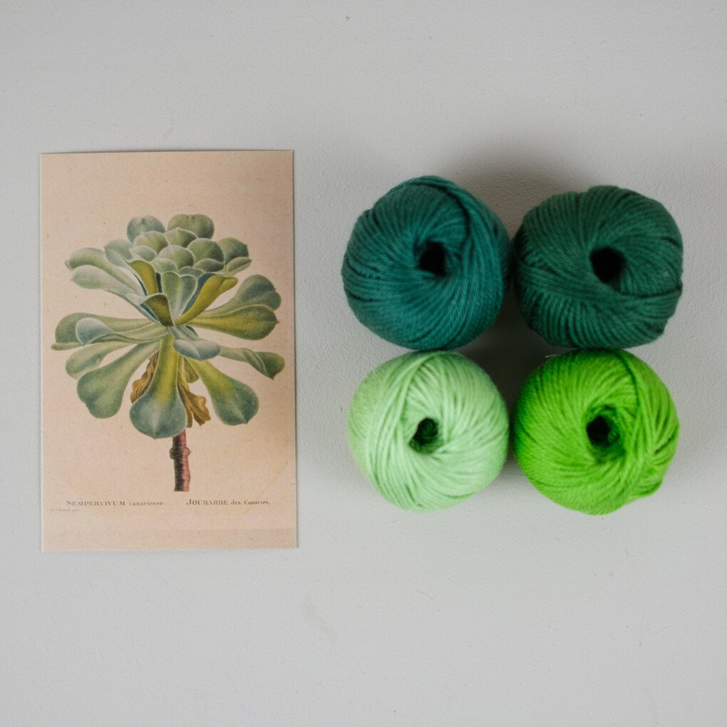 Groen Vetplant DIY Weefpakket Groot