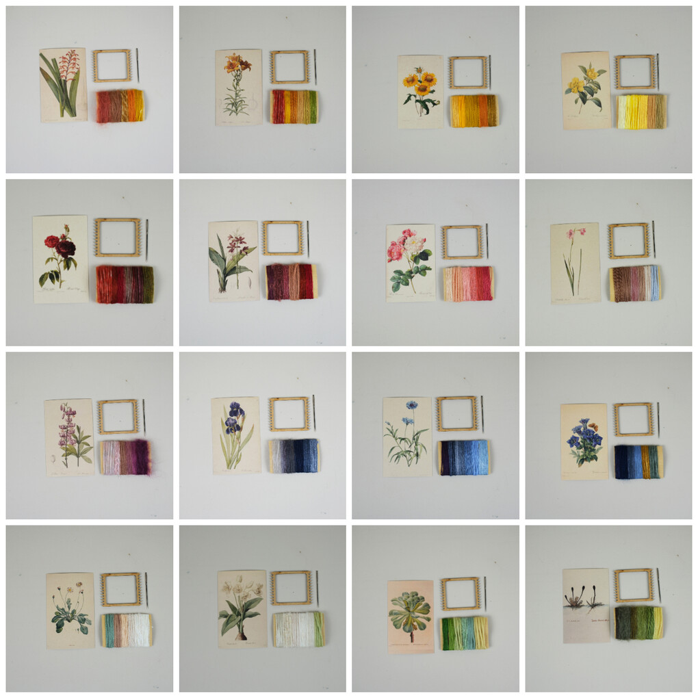 fotojet-30653033-6433-6136-6530-346334616339-v3.jpeg Oranje Antholyza DIY Weefpakket Klein