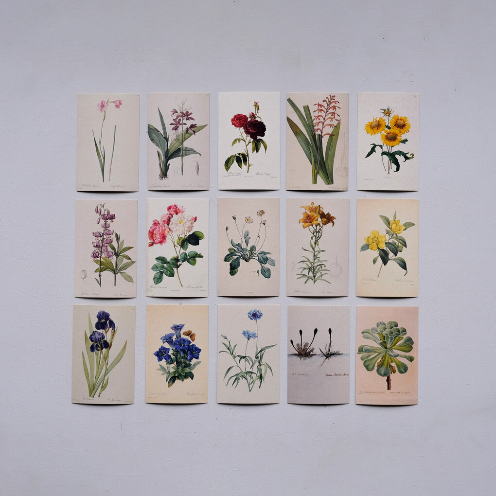 Roze Tuin Roos DIY Weefpakket Groot