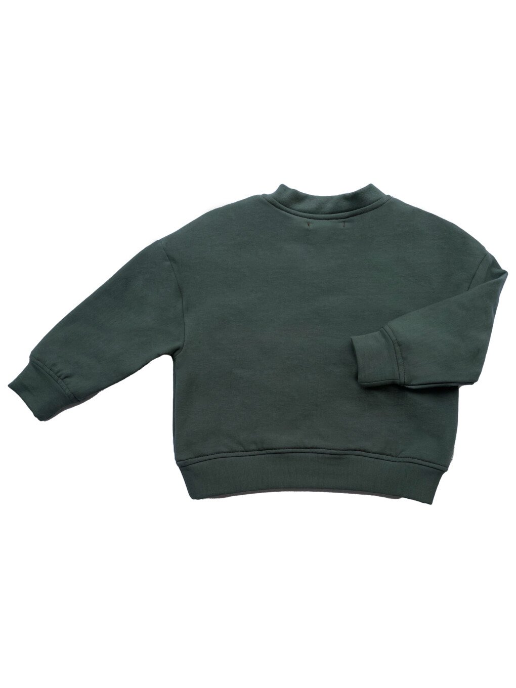 zh40o-35313461-3062-3564-3764-373234386331-v3.jpeg 100% biologisch katoen Sweater