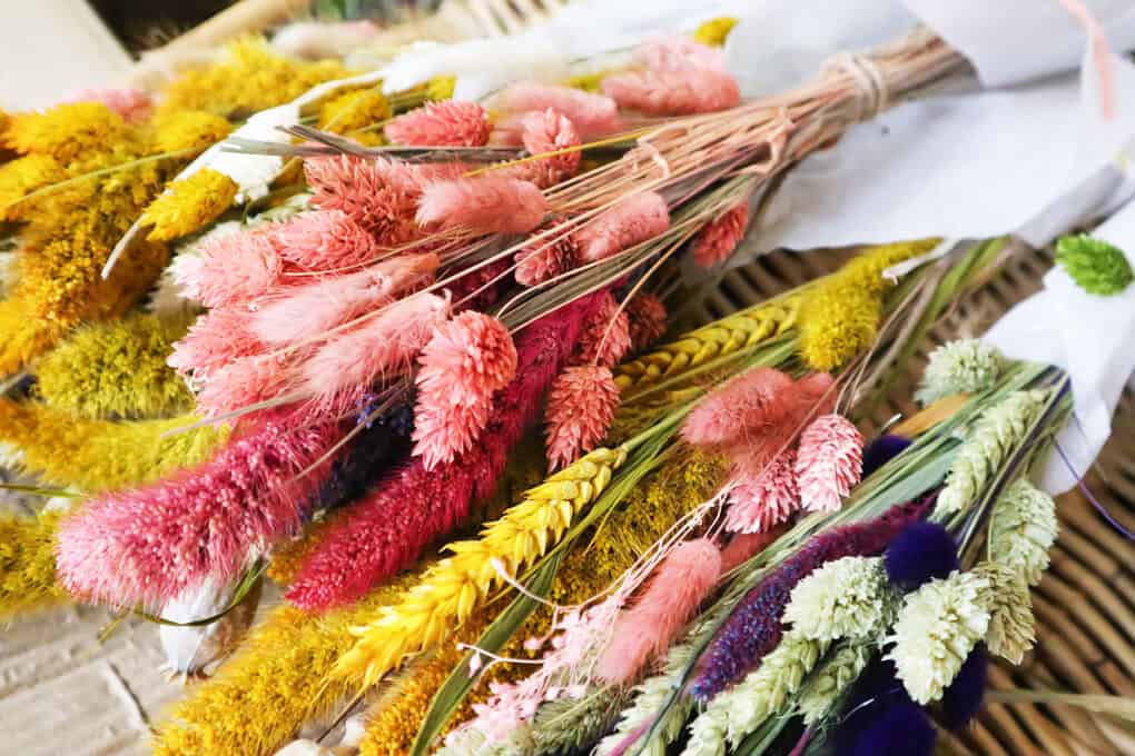 droogbloemen
