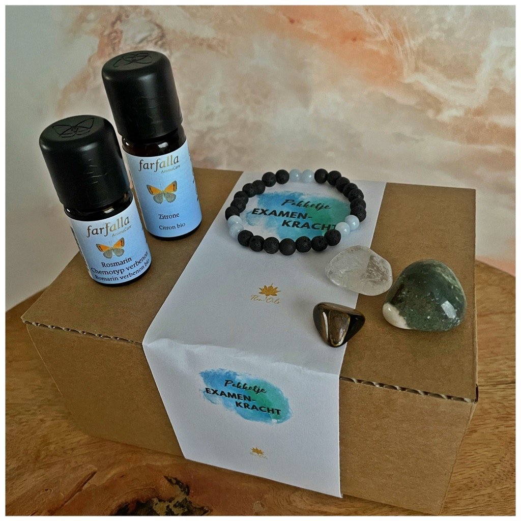 Examenkracht pakket - 446 Examenkracht pakket