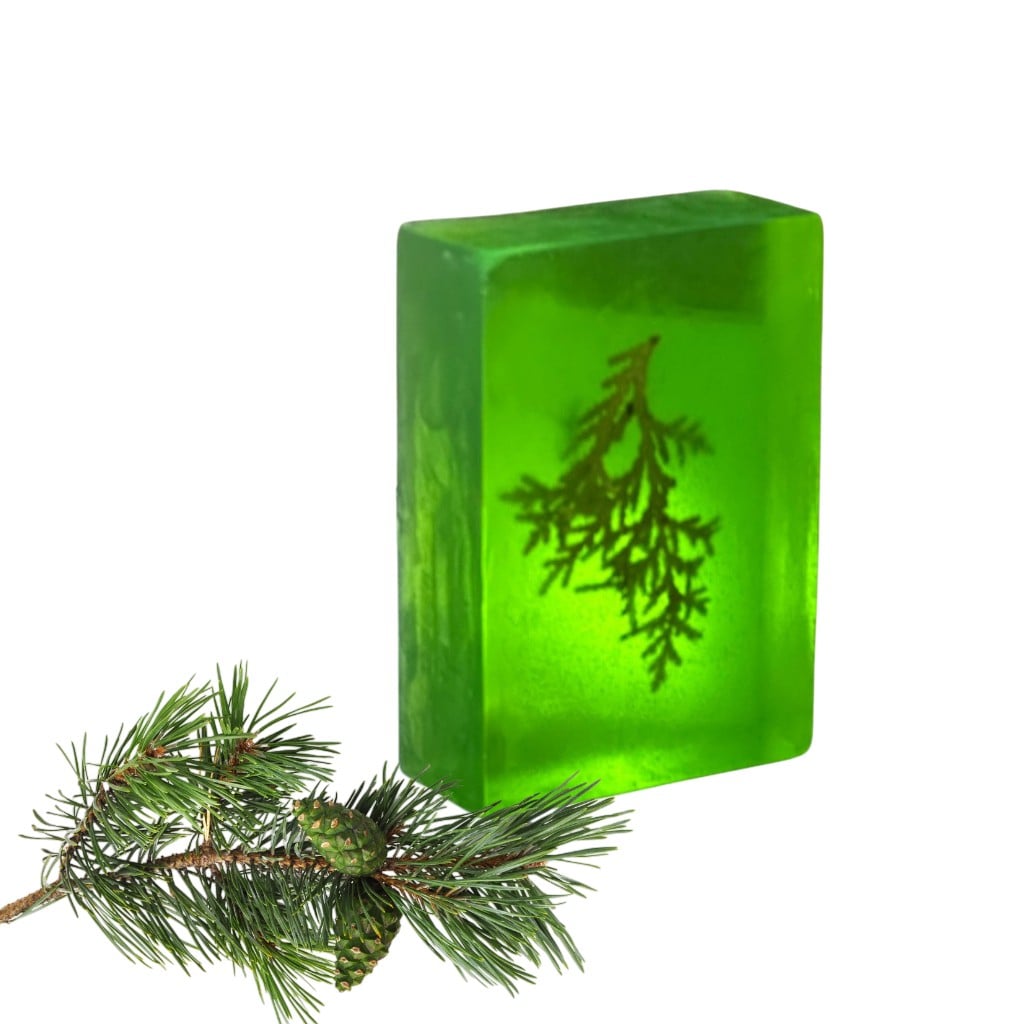 De Vitamineshop - Zeep - Natuurlijke Dennen Zeep Blok - Met Echt Dennenblad – 100% Natuurlijke & Handgemaakte Verzorgingszeep - Handzeep - Douchezeep - Cadeau - 120 gr