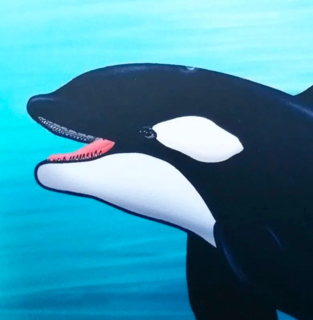 Kaartje Today whale be a good day