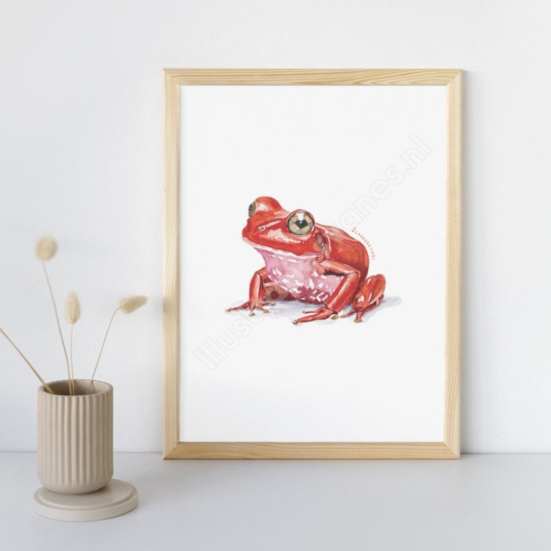 Poster - Rode kikker - 98024 Poster – Rode kikker in tropische aquarel