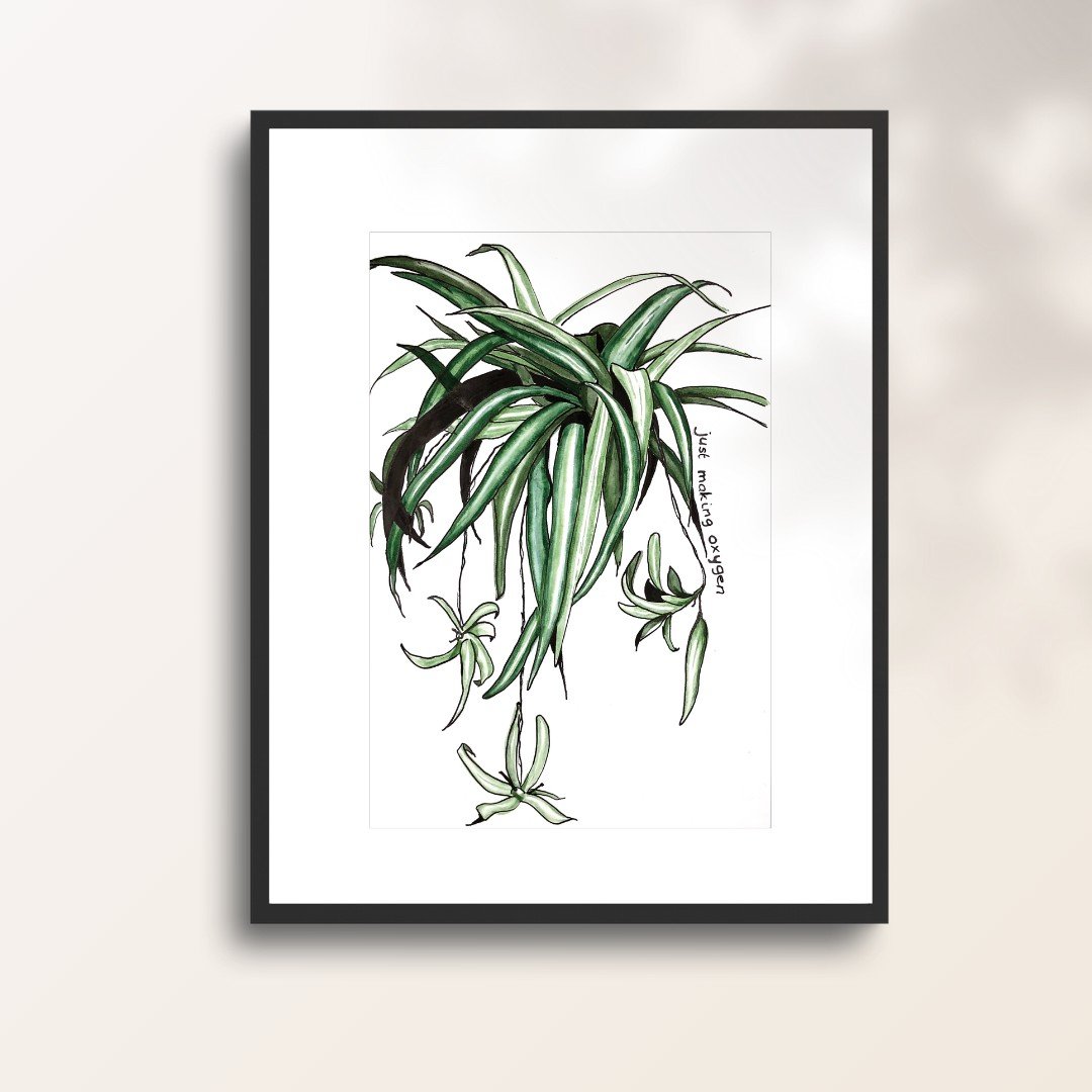 Poster – Graslelie aquarel, Just making oxygen illustratie - 98056 Poster – Graslelie aquarel, Just making oxygen illustratie