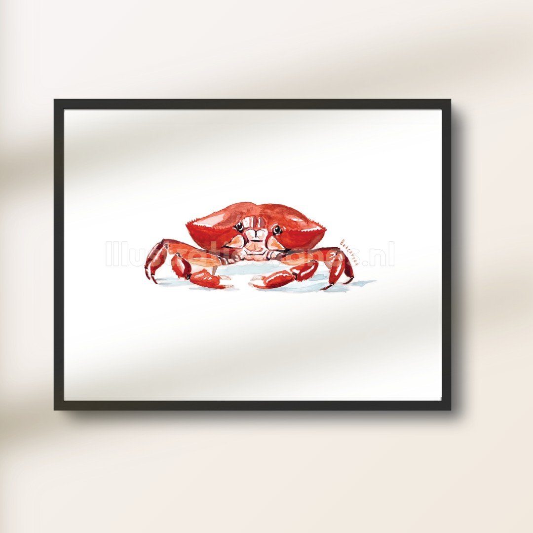 Poster – Krab in rode aquarel illustratie