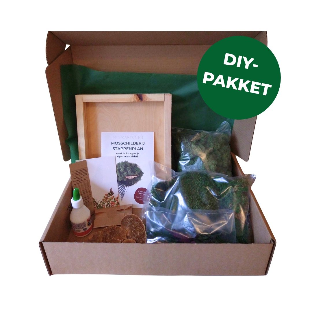 mosschilderij DIY-pakket 'Forest Vibes'