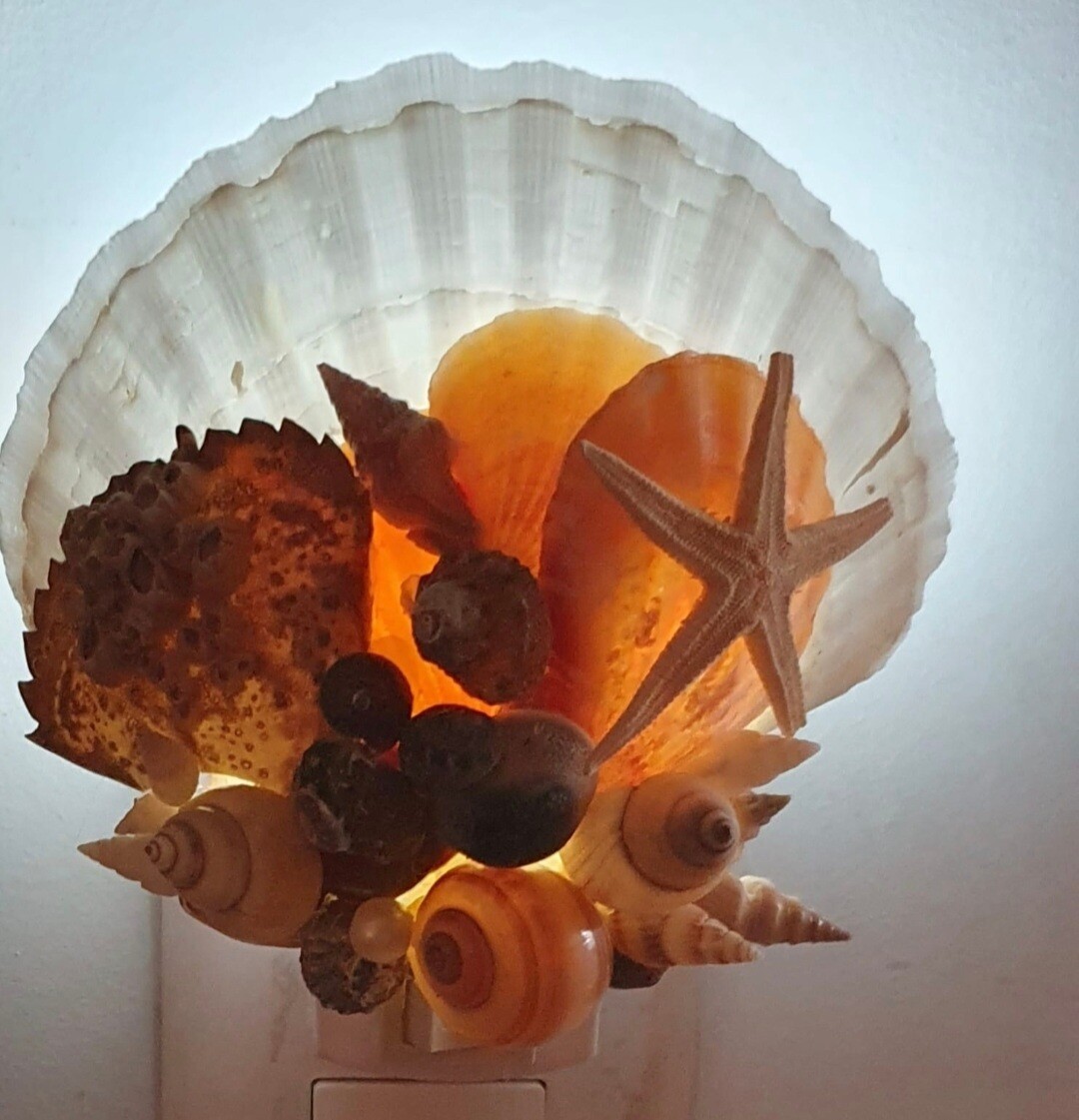 Nachtlampje op Scallope schelp - 48877 Nachtlampje op Scallope schelp
