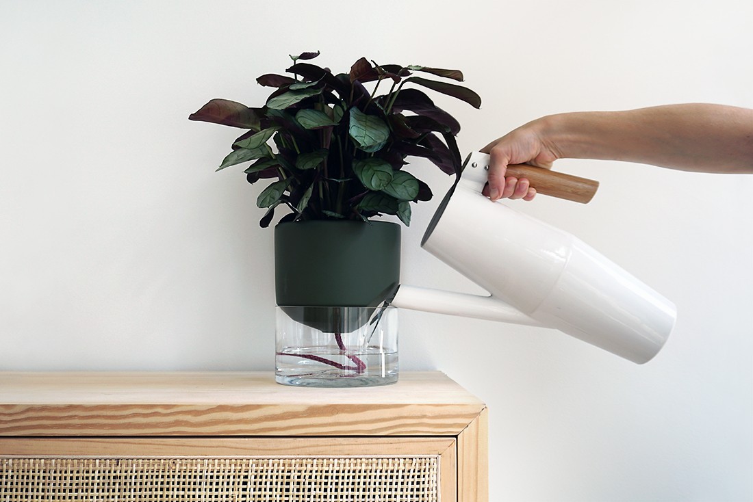 Kapi growing set: Small + Big flowerpot | Green