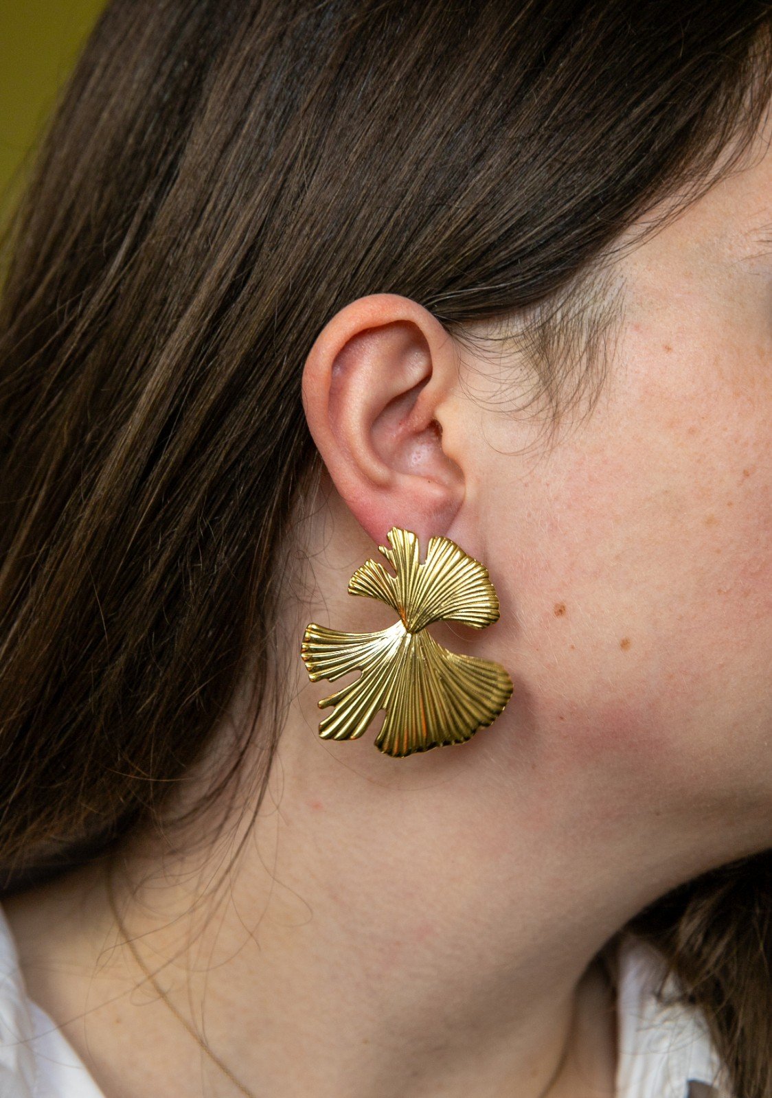 Rvs oorbellen ZARA - 100483 Rvs oorbellen ZARA