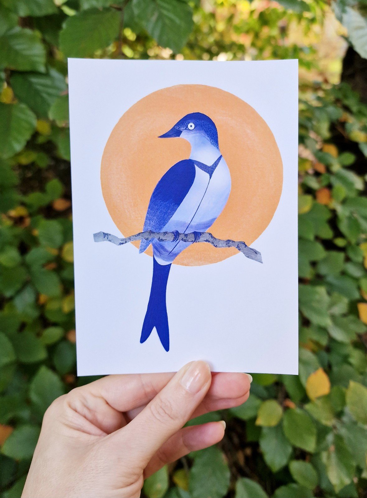 Chinese Bird A6 Kaart, Vogel Aquarel Print - 101303 Chinese Bird A6 Kaart, Vogel Aquarel Print