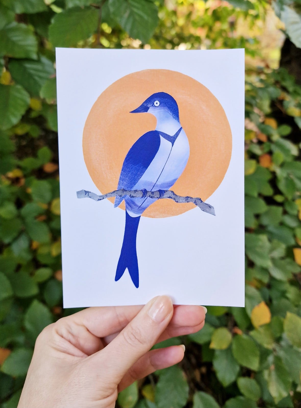 Set van 3 Aziatische Stijl Aquarel Kaarten, Vis, Bloem en Vogel