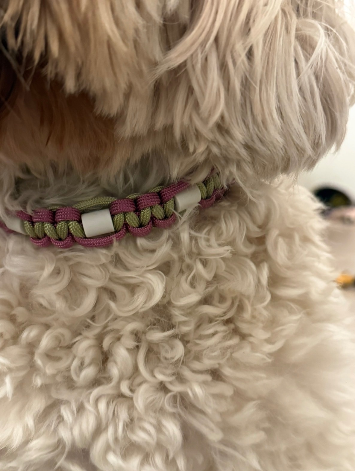 Anti-tekenband groen/roze