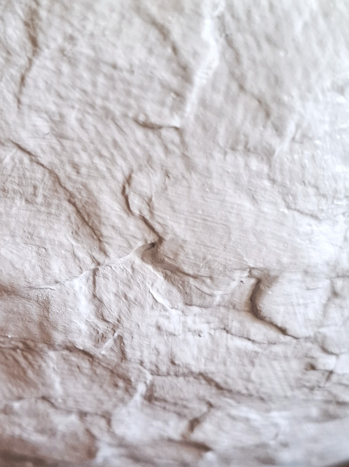 Robuuste, onbreekbare, witte papieren schaal