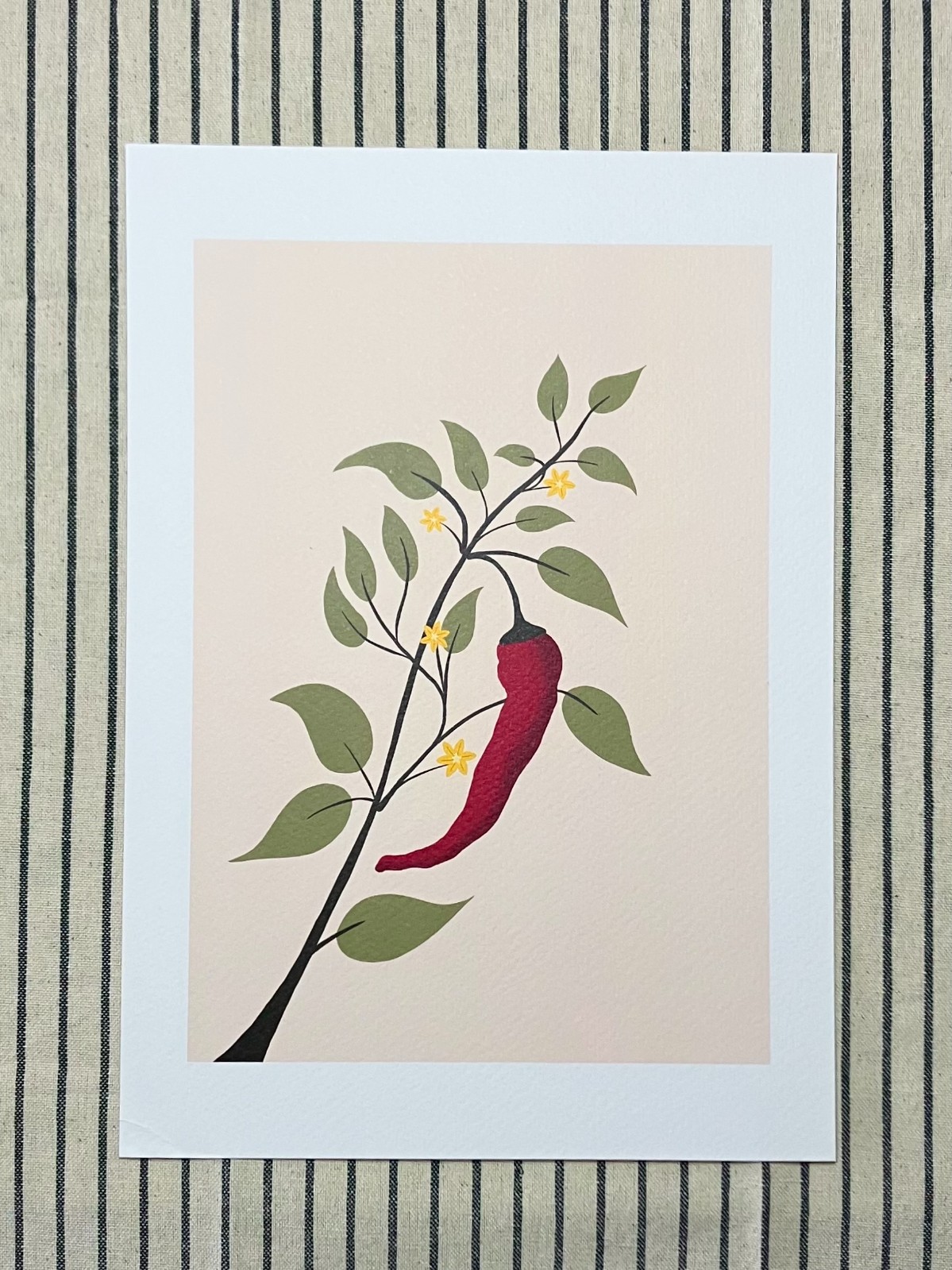 Chili plant kunstprint – botanische illustratie met rode peper | A4 poster 21x30 cm - 75701.jpeg Chili plant kunstprint – botanische illustratie met rode peper | A4 poster 21x30 cm