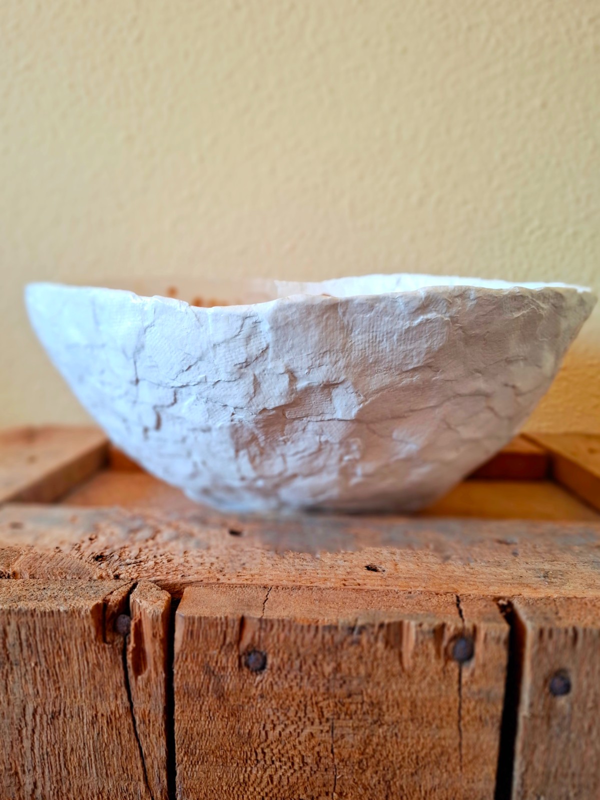 Robuuste, onbreekbare, witte papieren schaal