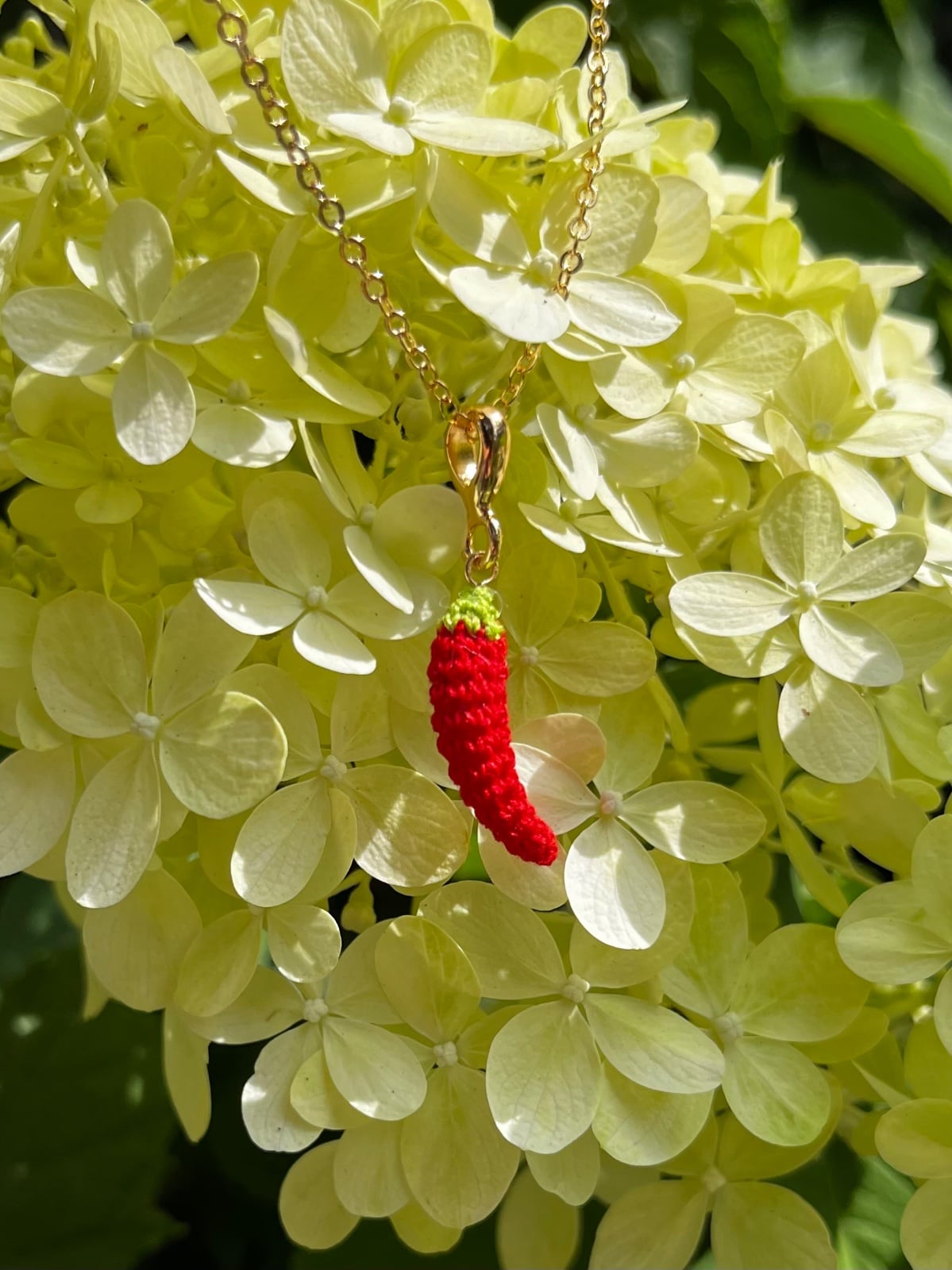 Miniatuur gehaakte chili ketting
