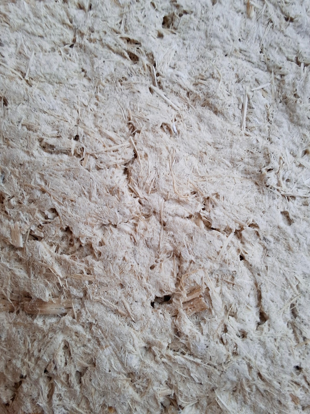 Schalenset van bamboe, stoer, stevig en licht