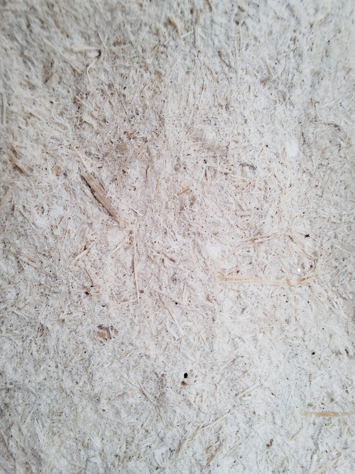 Schalenset van bamboe, stoer, stevig en licht