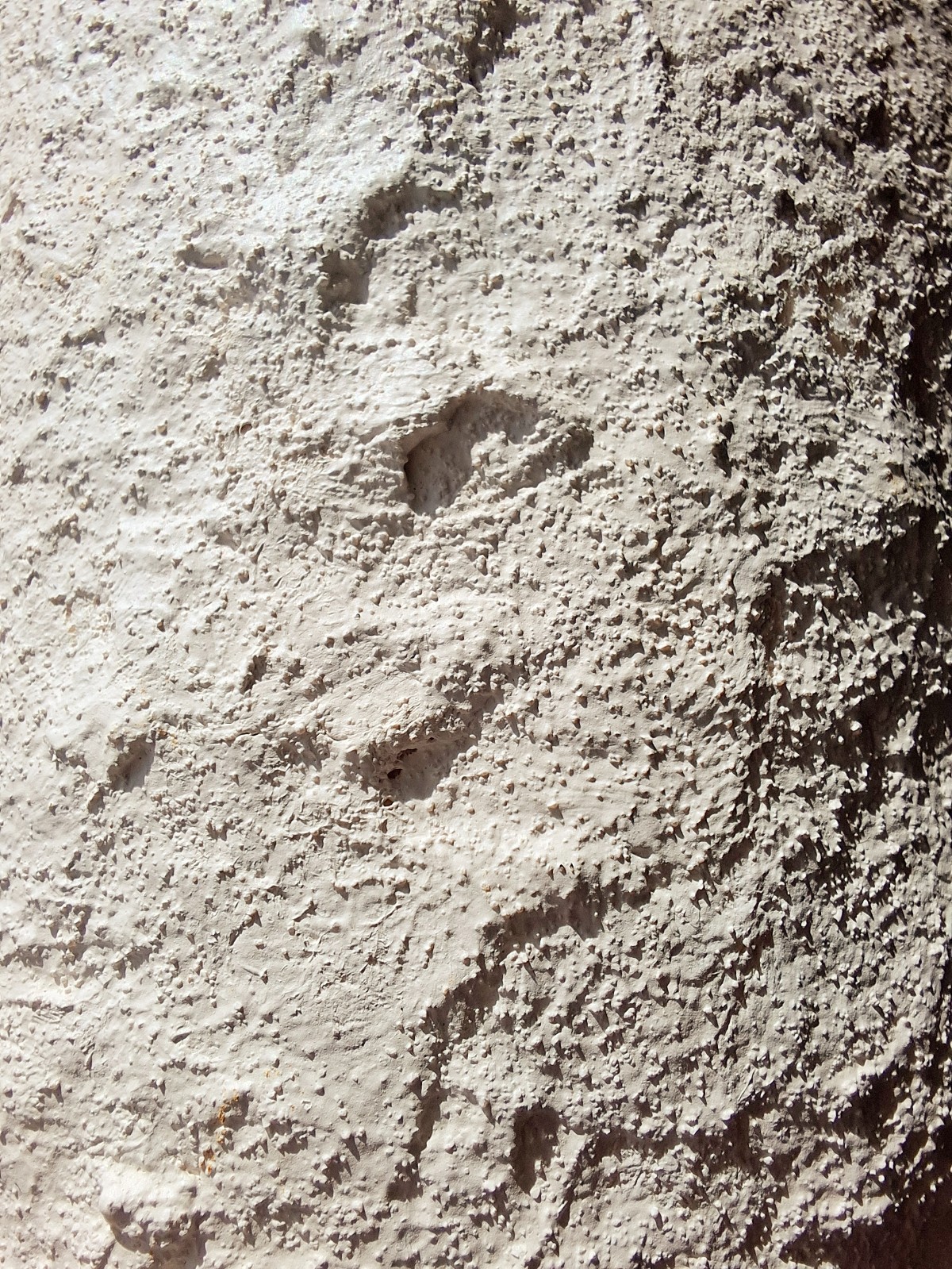 Witte, lichtgewicht, onbreekbare papieren vaas