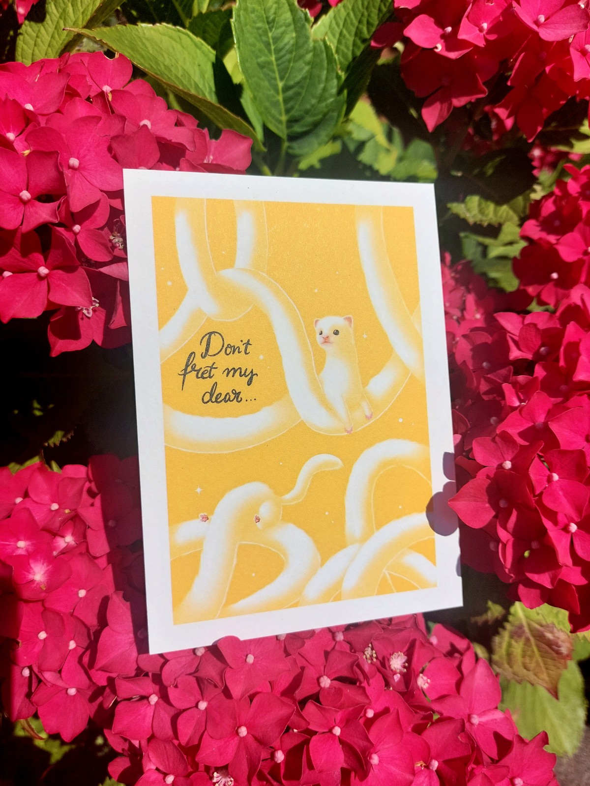 Kaart fret grappige tekst