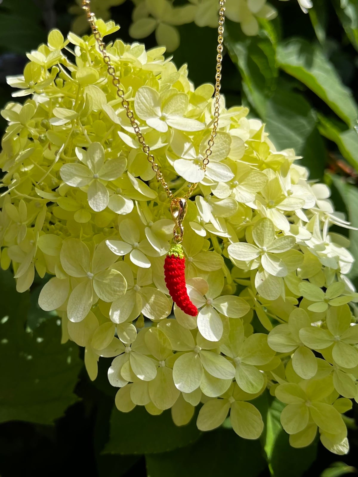 Miniatuur gehaakte chili ketting