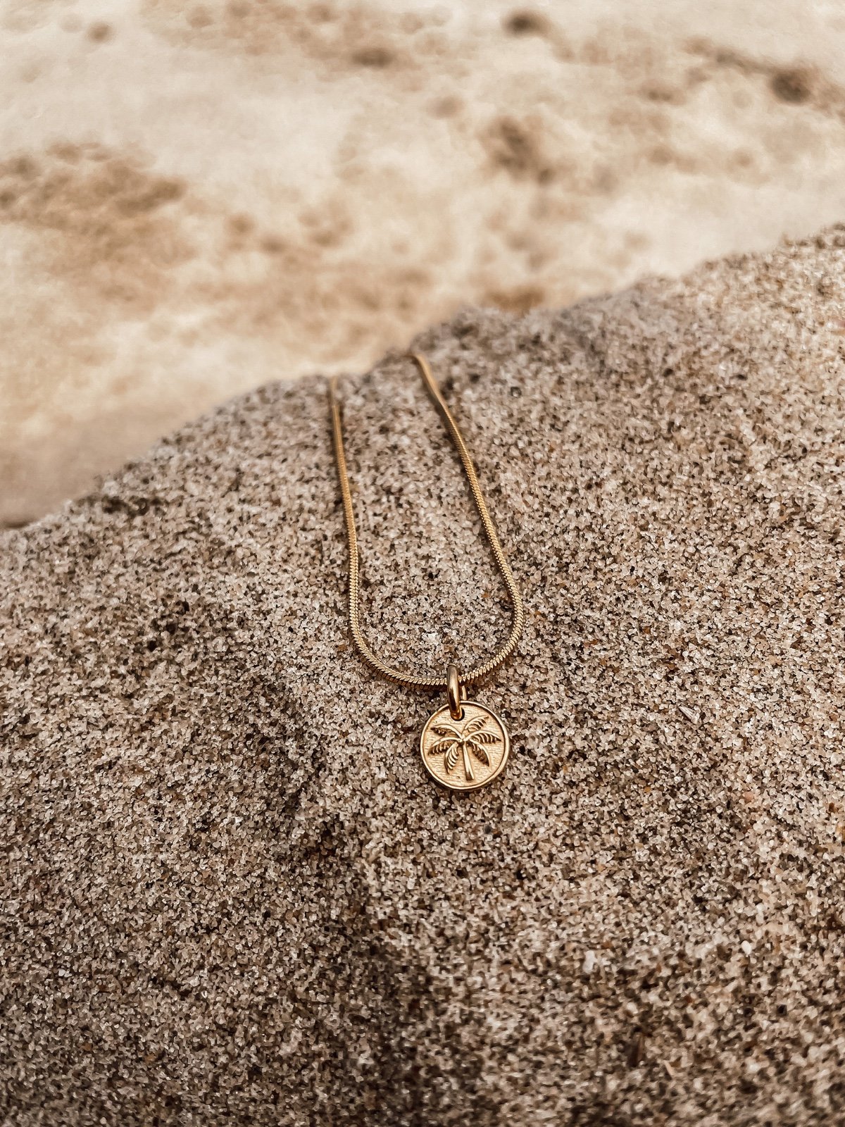 Oceaan Mini Palm Coin Ketting - Laguna Treasures - 63958.jpeg Oceaan Mini Palm Coin Ketting Goud