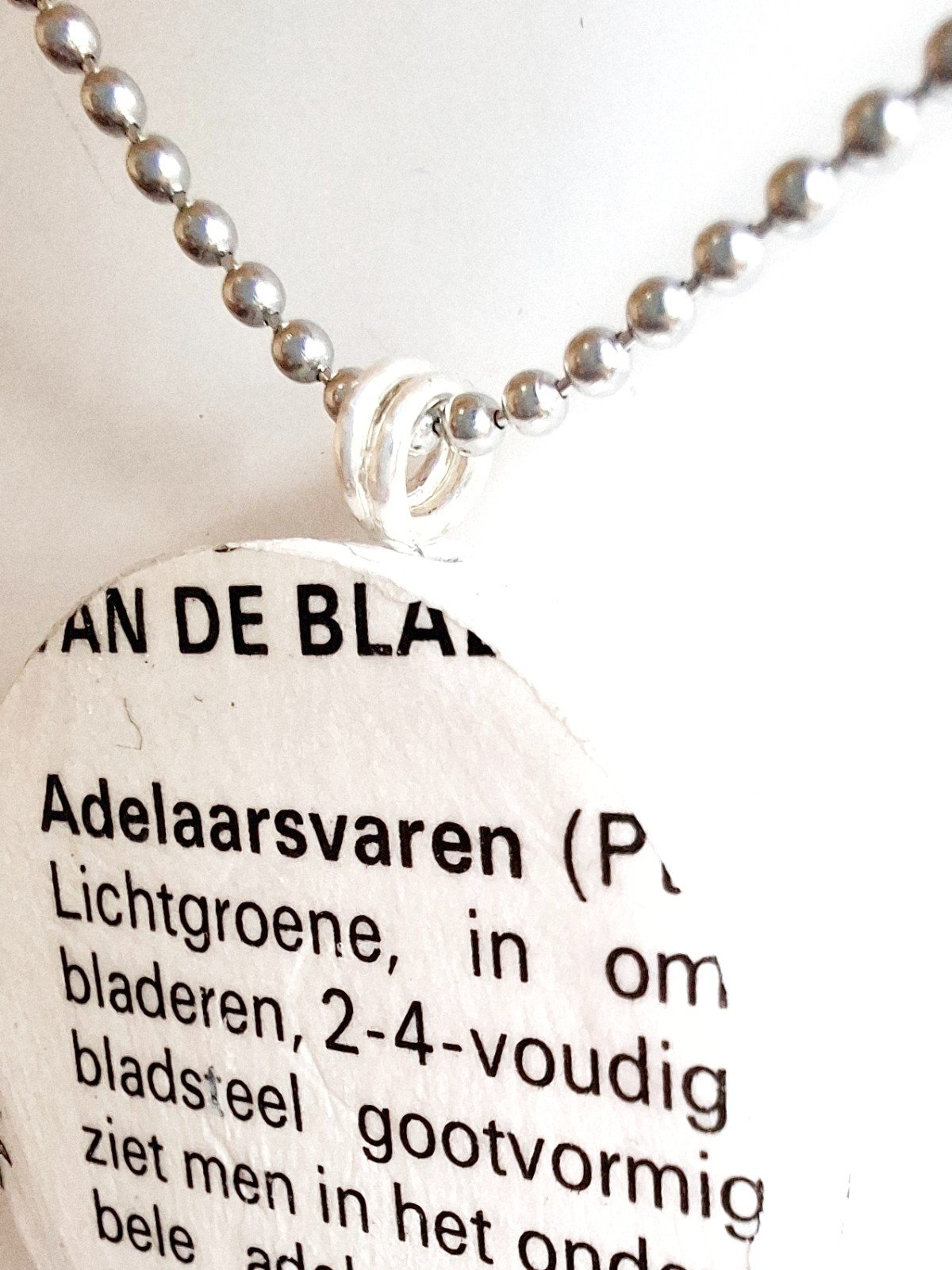 Lichtgewicht ketting met papieren hanger met adelaarsvaren afbeelding, duurzaam sieraad,  ⁸