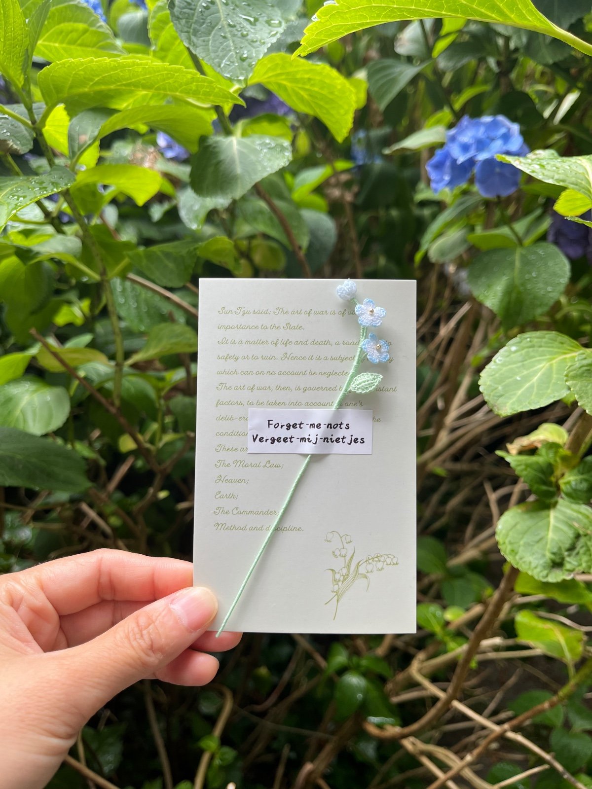 Micro Gehaakte vergeet-mij-niet Boekenleggers - 84904 Micro Gehaakte vergeet-mij-niet Boekenleggers